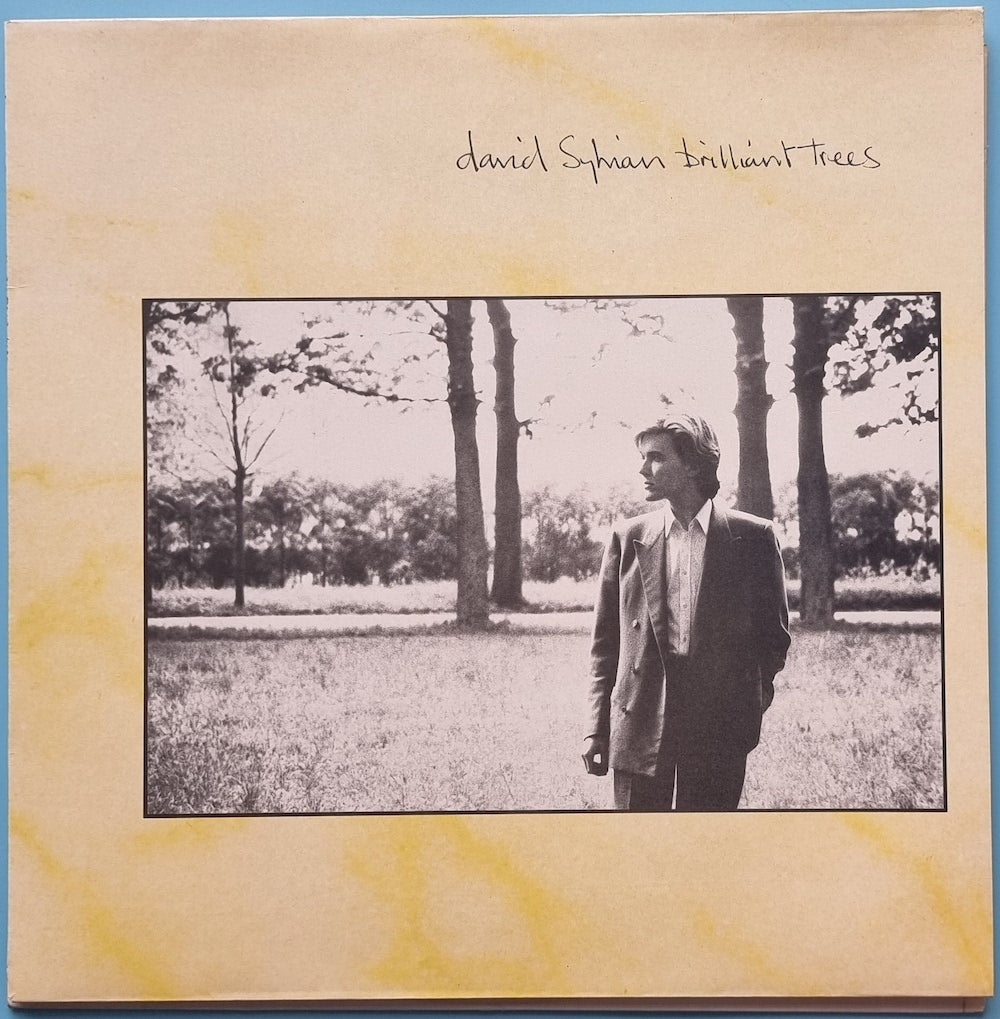 David Sylvian