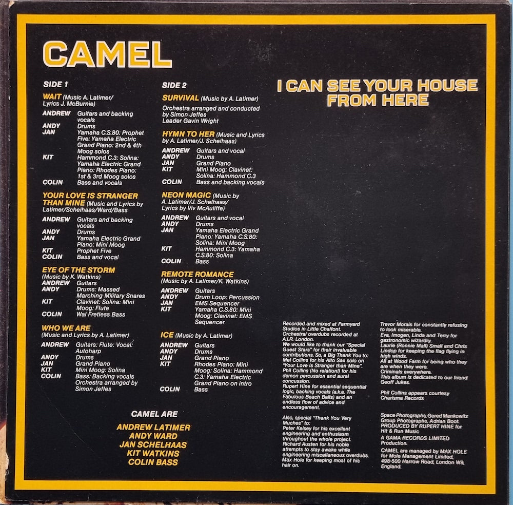 Camel