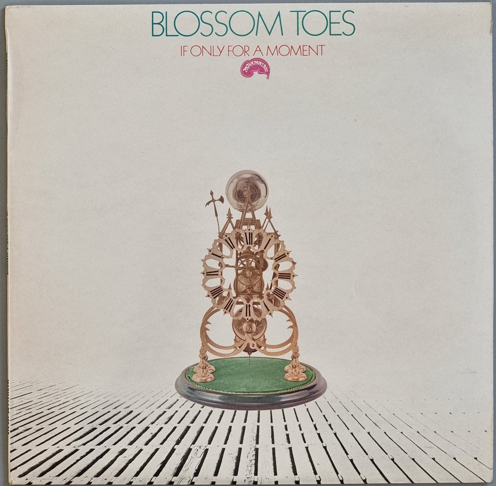Blossom Toes