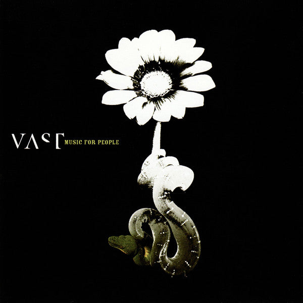 Music for People — VAST front cover
