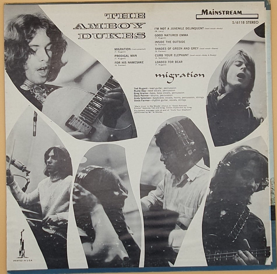 The Amboy Dukes