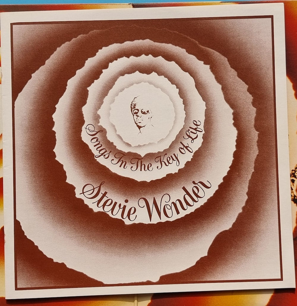 Stevie Wonder