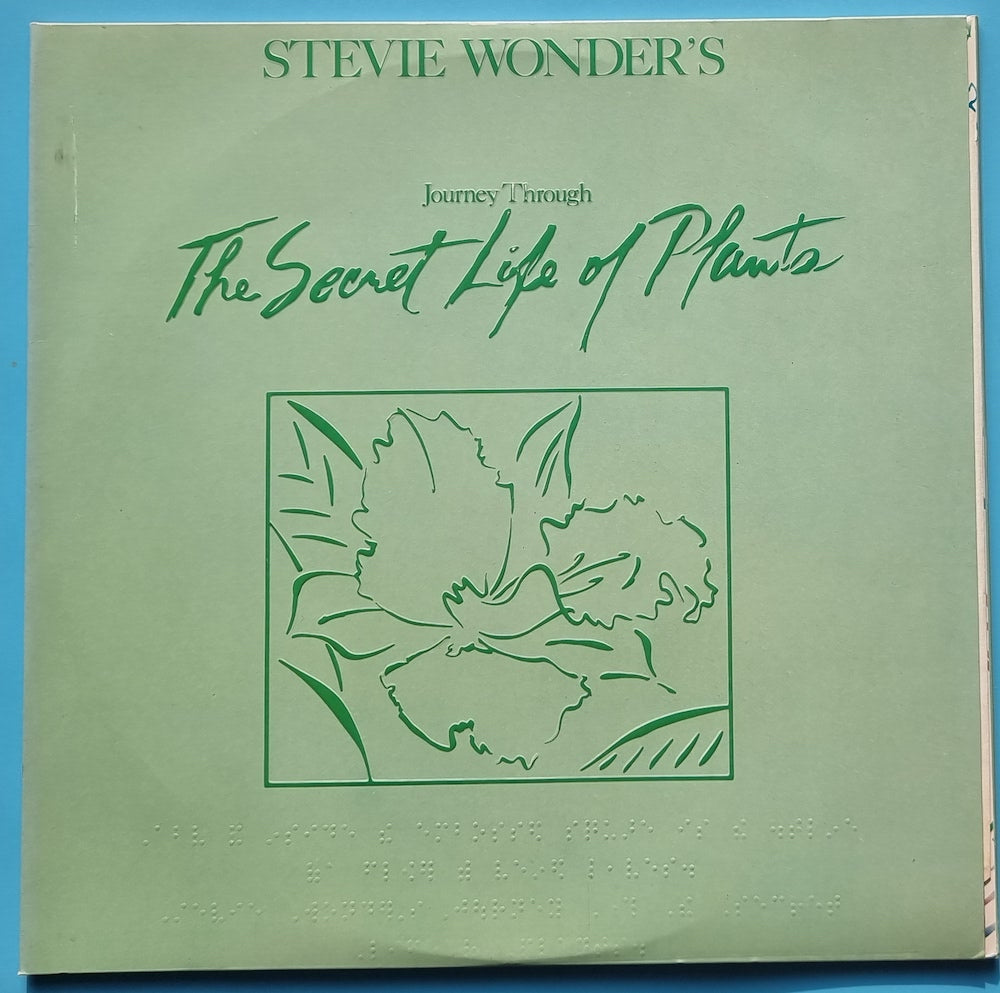Stevie Wonder