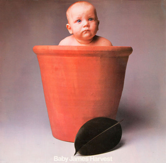 Baby inside a large terracotta pot with a leaf on a plain background
