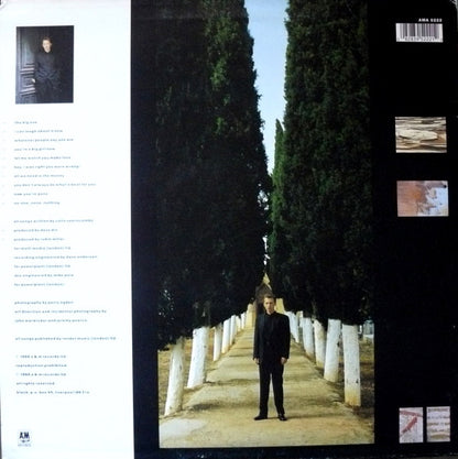 Album cover with a person standing between tall trees on a pathway