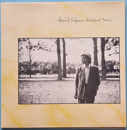 David Sylvian