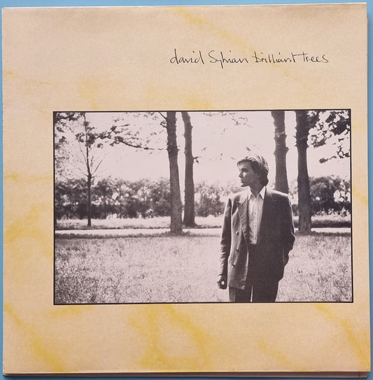 David Sylvian
