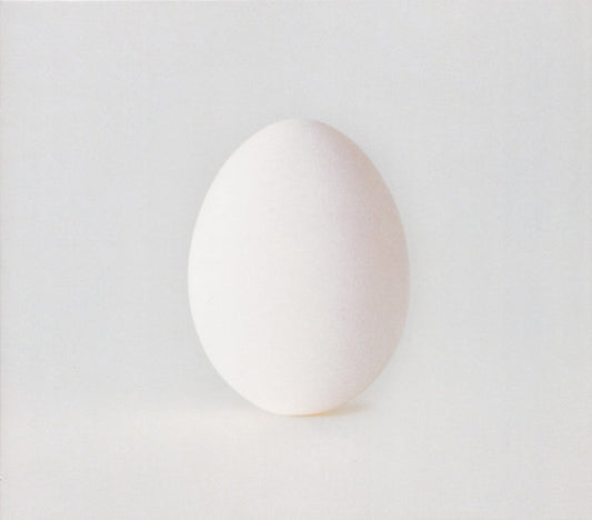 A Ghost Is Born â€” Wilco front cover