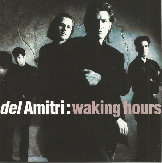 Waking Hours — Del Amitri front cover