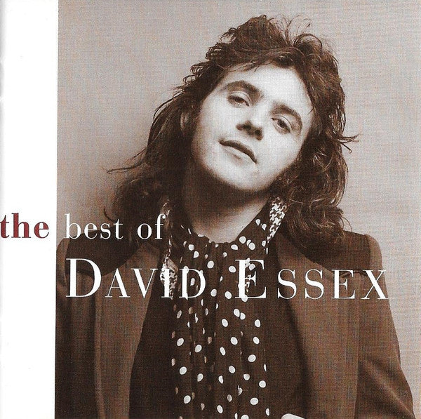 The Best of David Essex — David Essex front cover
