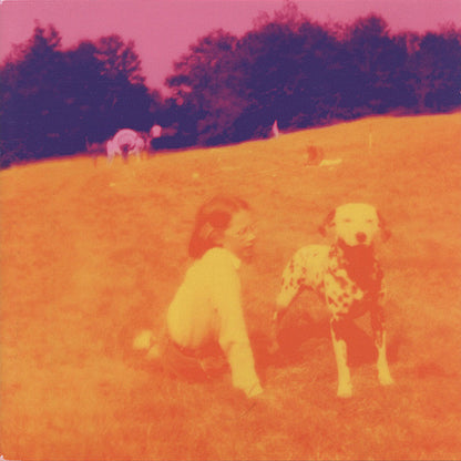 Blinking Lights and Other Revelations — Eels front cover