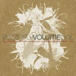 Buzzin' Fly Volume 1 — Ben Watt front cover