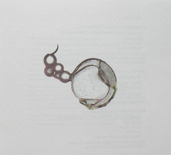 A single clear glass bubble lens or bubble wrap lens with a dark rim, shown on a textured white background.