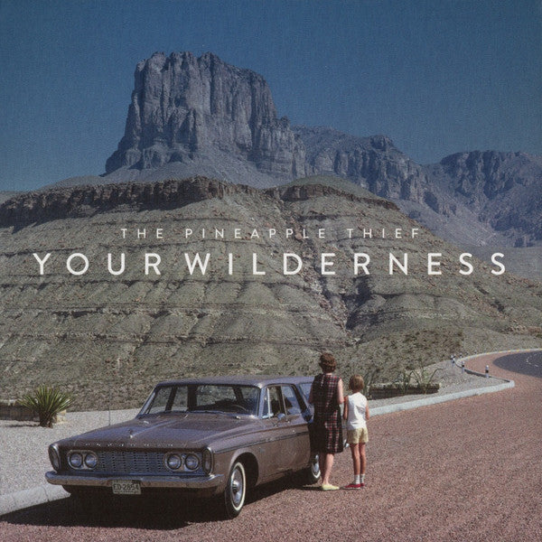 Your Wilderness — The Pineapple Thief front cover
