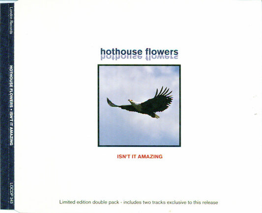 Isn't It Amazing â€” Hothouse Flowers front cover
