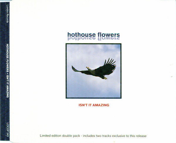 Isn't It Amazing (CD Single 2) — Hothouse Flowers front cover