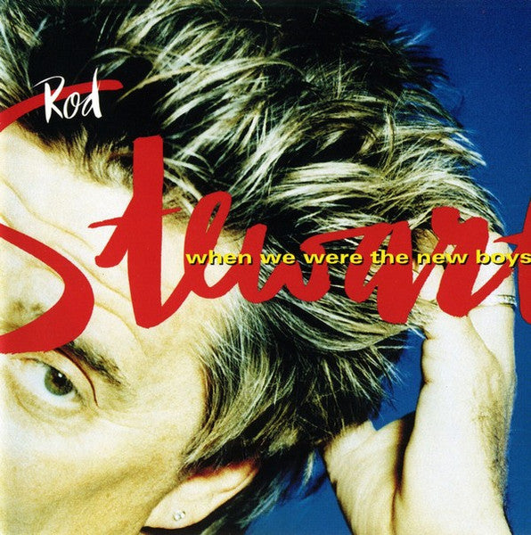 When We Were the New Boys — Rod Stewart front cover