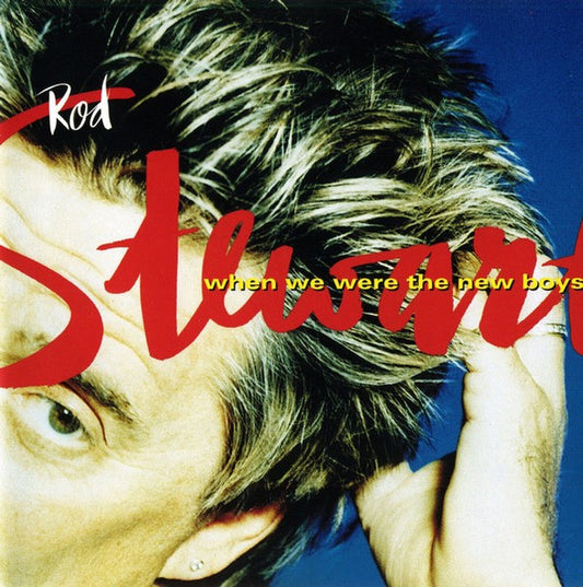 When We Were the New Boys â€” Rod Stewart front cover