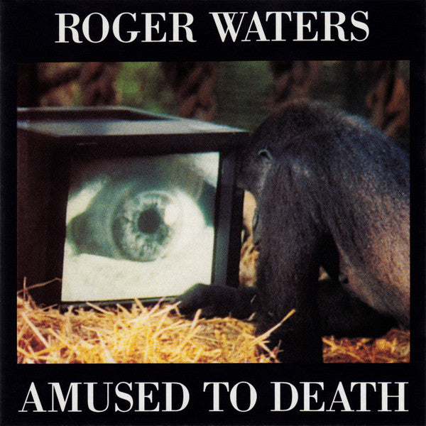 Amused to Death — Roger Waters front cover
