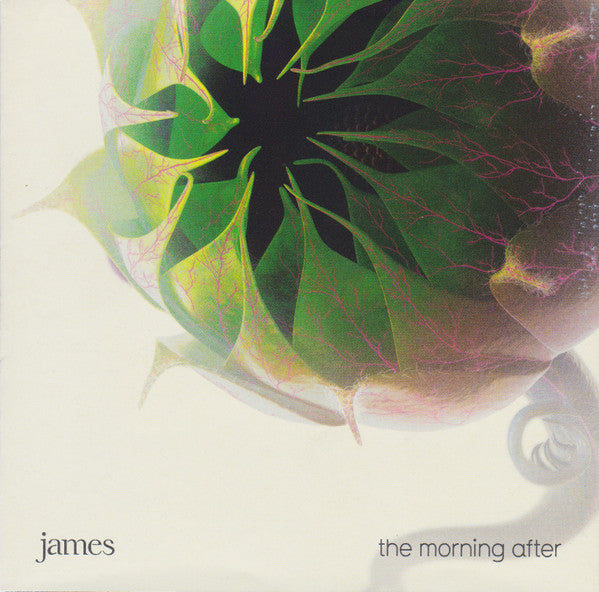 The Morning After — James front cover
