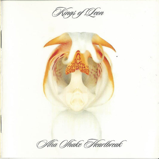 Aha Shake Heartbreak — Kings of Leon front cover