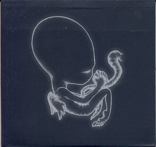 ÃgÃ¦tis Byrjun â€” Sigur RÃ³s front cover