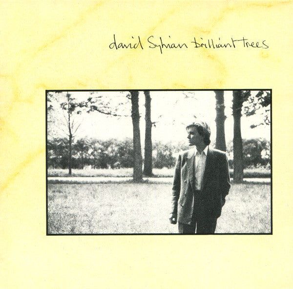 Brilliant Trees — David Sylvian front cover
