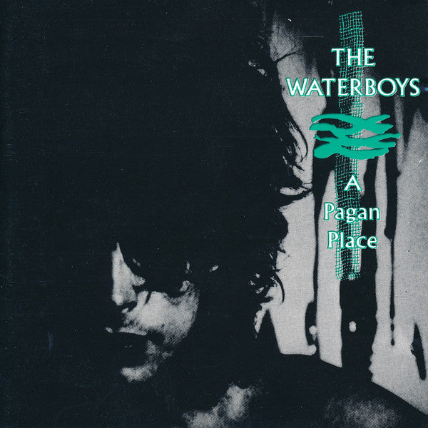 A Pagan Place — The Waterboys front cover
