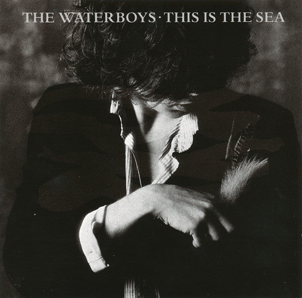 This Is the Sea — The Waterboys front cover