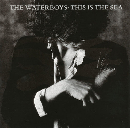 This Is the Sea â€” The Waterboys front cover