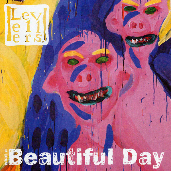 What a Beautiful Day — The Levellers front cover