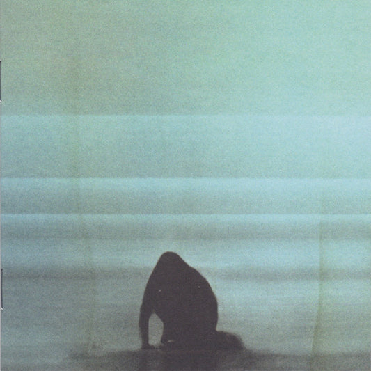 What Went Down — Foals front cover
