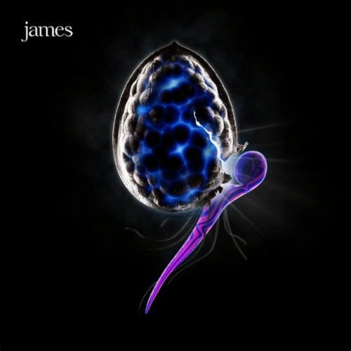 The Night Before — James front cover