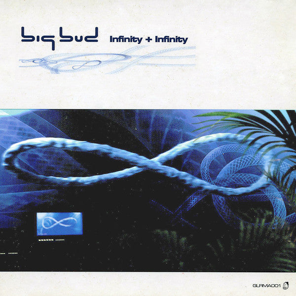 Infinity + Infinity — Big Bud front cover