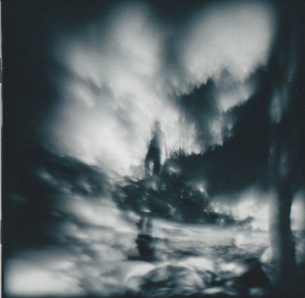 Walk the River â€” Guillemots front cover