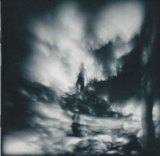 Walk the River â€” Guillemots front cover
