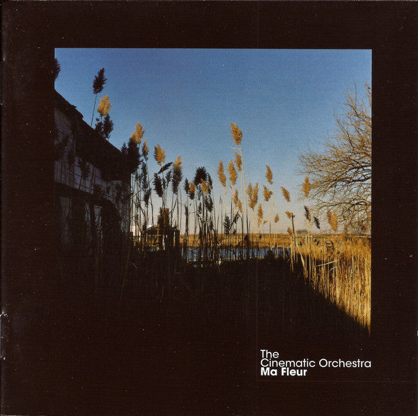 Ma Fleur [UK] — The Cinematic Orchestra front cover