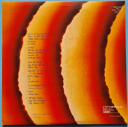 Stevie Wonder