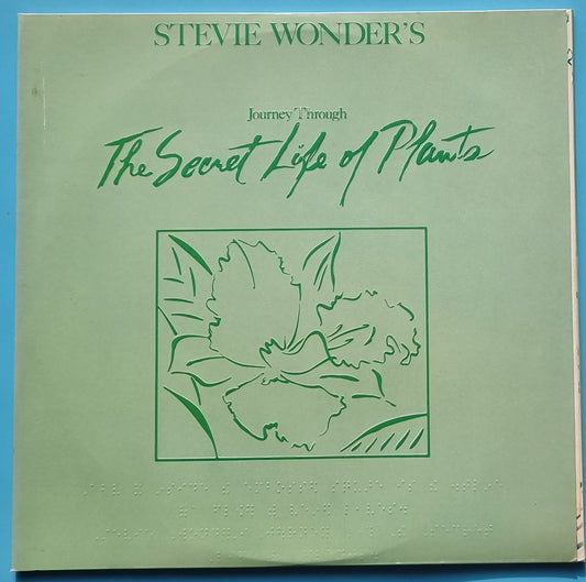 Stevie Wonder