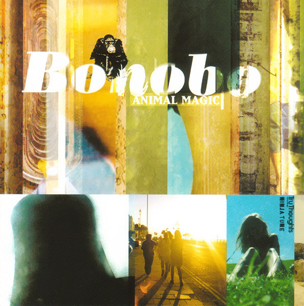 Animal Magic — Bonobo front cover