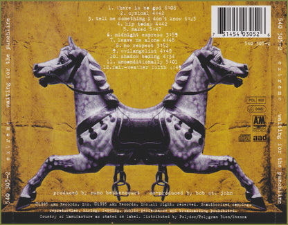 Waiting for the Punchline — Extreme back cover