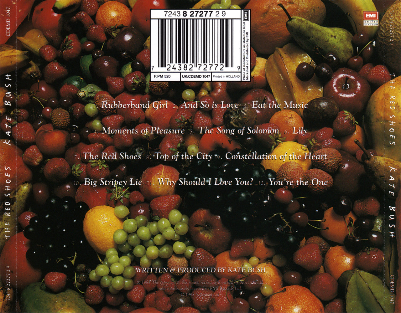 The Red Shoes — Kate Bush back cover