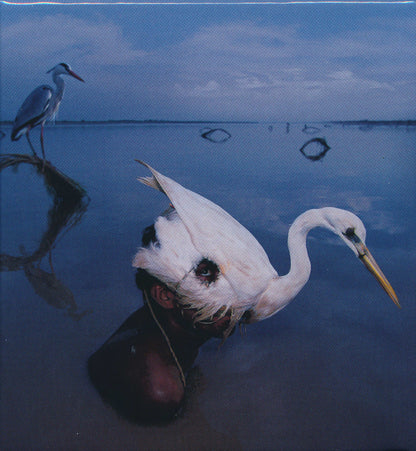 Aerial (2018 Remaster) — Kate Bush back cover