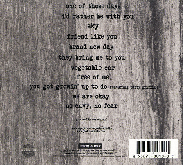 Simple Times — Joshua Radin back cover