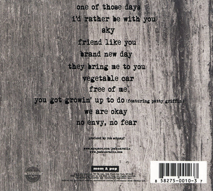 Simple Times — Joshua Radin back cover