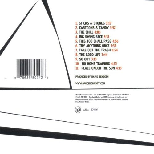 Big Swing Face — Bruce Hornsby back cover