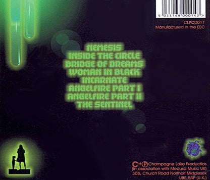 Nemesis — Andy Pickford back cover